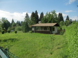 CIMG7085