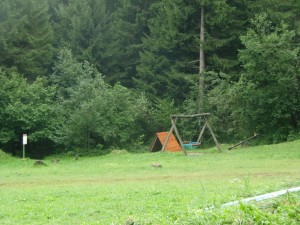 CIMG6239